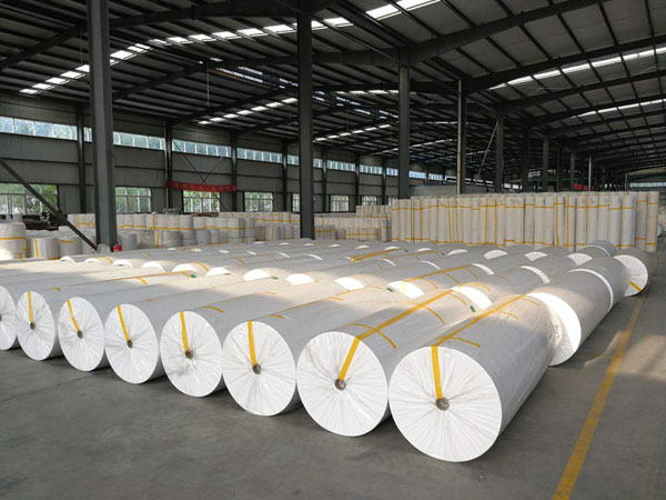 蚌埠狭缝式涤纶纺粘无纺布